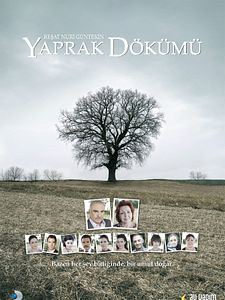 Cartel de Yaprak Dökümü Temporada 1