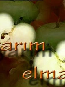 Cartel de Yarım Elma Temporada 2