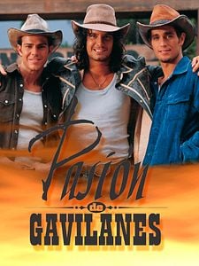 Cartel de Pasión de gavilanes Temporada 1