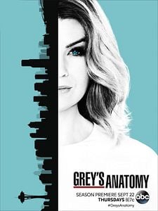 Cartel de Anatomía de Grey Temporada 13