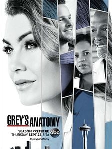 Cartel de Anatomía de Grey Temporada 14