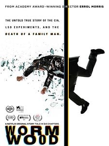 Cartel de Wormwood Temporada 1