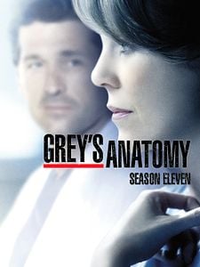 Cartel de Anatomía de Grey Temporada 11