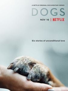 Cartel de Amigos caninos Temporada 2