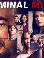 Cartel de Mentes criminales Temporada 14