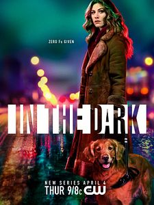 Cartel de In the Dark (2019) Temporada 3