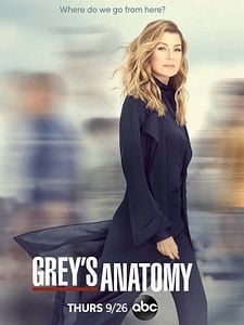 Cartel de Anatomía de Grey Temporada 16