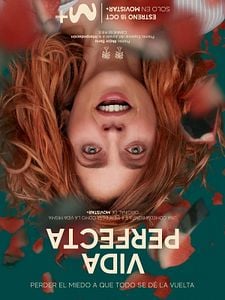 Cartel de Vida perfecta Temporada 1