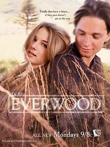 Cartel de Everwood Temporada 2