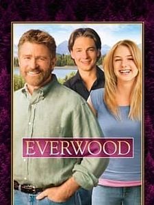 Cartel de Everwood Temporada 4