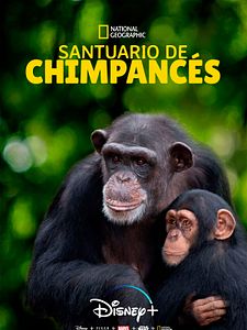 Cartel de Santuario de chimpancés Temporada 1
