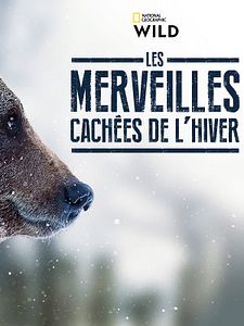 Cartel de Winter's Hidden Wonders Temporada 1