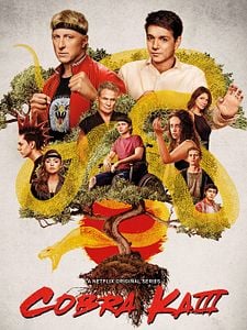 Cartel de Cobra Kai Temporada 3