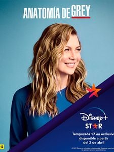 Cartel de Anatomía de Grey Temporada 17