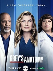 Cartel de Anatomía de Grey Temporada 18