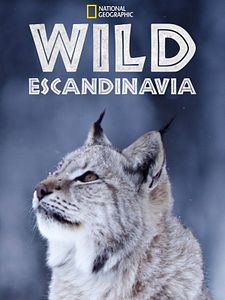 Cartel de Wild Escandinavia Temporada 1