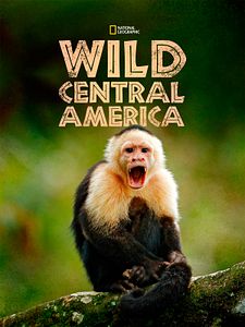 Cartel de Wild Centroamérica Temporada 1