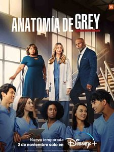 Cartel de Anatomía de Grey Temporada 19