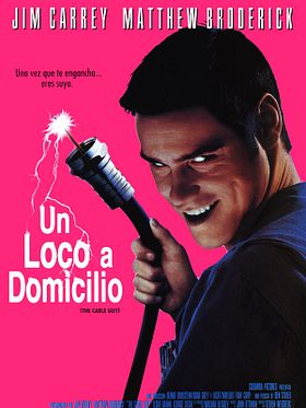 Cartel de Un loco a domicilio