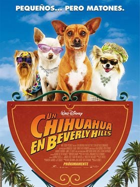 Cartel de Un chihuahua en Beverly Hills