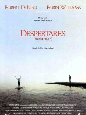 Cartel de Despertares