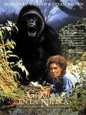 Cartel de Gorilas en la niebla