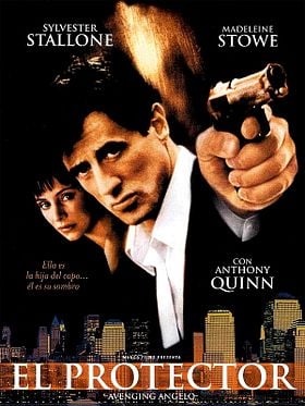 Cartel de El protector