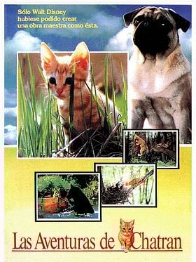 Cartel de Las aventuras de Chatran