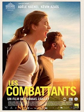 Cartel de Les Combattants