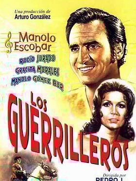 Cartel de Los guerrilleros