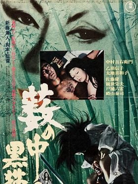 Cartel de El gato negro