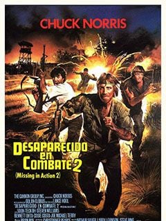 Cartel de Desaparecido en combate 2