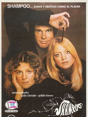 Cartel de Shampoo