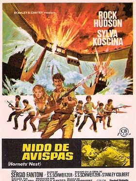 Cartel de Nido de avispas
