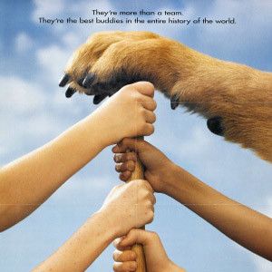 Foto Historia de un verano