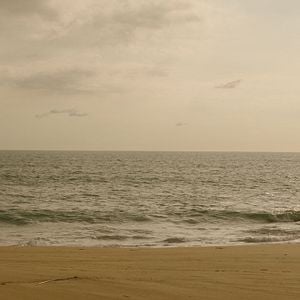 Foto Send Help (Enviad ayuda)