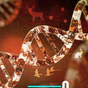 Foto A fondo: el gen de la caza