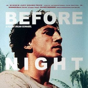 Foto Antes que anochezca