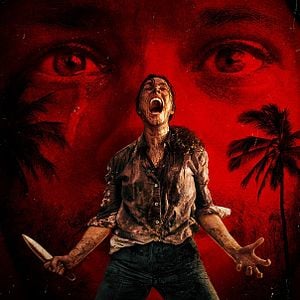 Foto Send Help (Enviad ayuda)