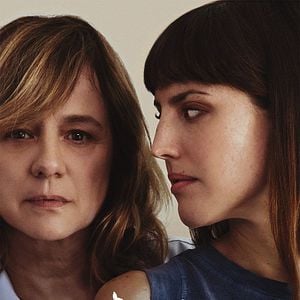 Foto Desmontando un elefante