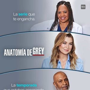 Foto Anatomía de Grey