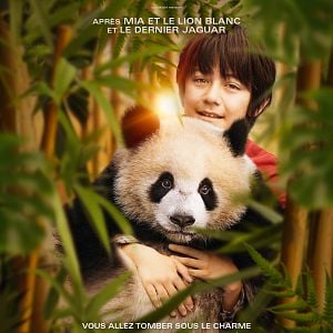 Foto Moon, mi amigo panda