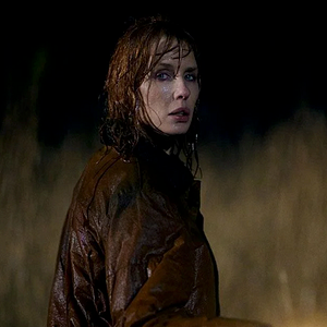 Foto Under Salt Marsh