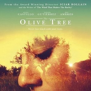 El Olivo - Película 2015