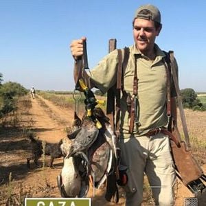 Foto Certeros Ballesteros: Azulones al alba