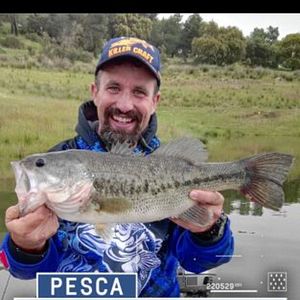 Foto Max Predators Fishing