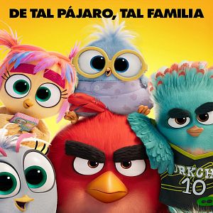 Foto Angry Birds 3: La película