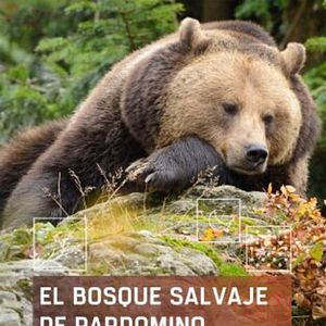 Foto El bosque salvaje de Pardomino