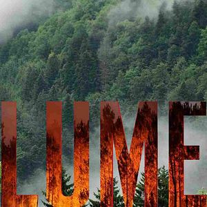 Foto Lume