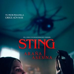 Foto Sting, araña asesina